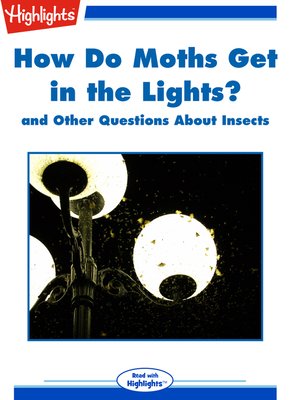 cover image of How Do Moths Get in the Lights? and Other Questions About Insects